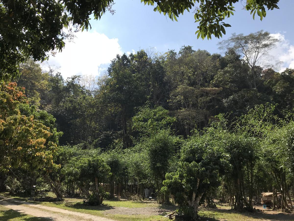 สวนฉัน Igarden Hotel Ban Pang Champi Ngoại thất bức ảnh